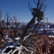 Bryce Canyon 10